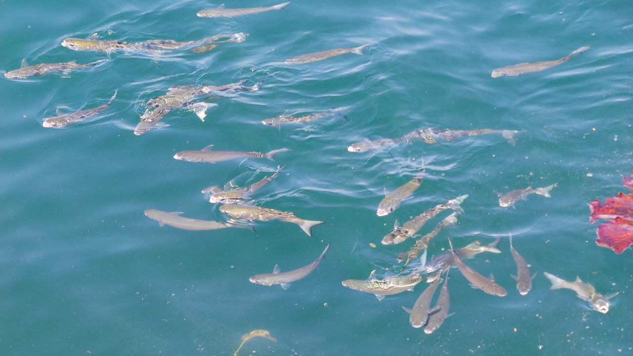 אנגרה דוס רייס Ocean Green Flats מראה חיצוני תמונה